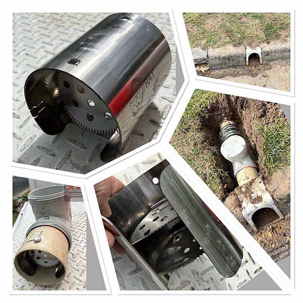 Rat prevention in West Albury